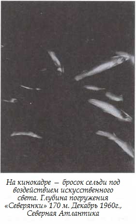 Иллюстрация к книге — Подводная одиссея. "Северянка" штурмует океан [i_019.jpg]