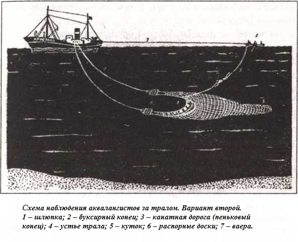Иллюстрация к книге — Подводная одиссея. "Северянка" штурмует океан [i_027.jpg]