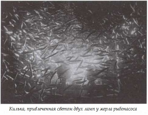 Иллюстрация к книге — Подводная одиссея. "Северянка" штурмует океан [i_030.jpg]