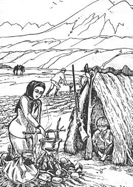 Иллюстрация к книге — Штурм Грозного. Анатомия истории терцев Уцененный товар (№1) [i_004.jpg]