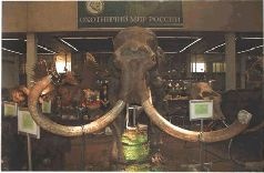 Иллюстрация к книге — Ох, охота! [i_004.jpg]