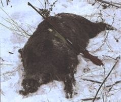 Иллюстрация к книге — Ох, охота! [i_028.jpg]