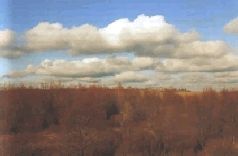 Иллюстрация к книге — Ох, охота! [i_035.jpg]