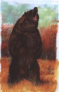 Иллюстрация к книге — Ох, охота! [i_041.jpg]