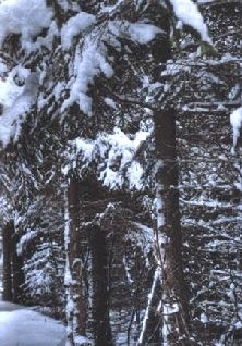 Иллюстрация к книге — Ох, охота! [i_046.jpg]