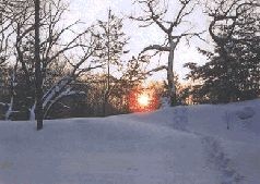 Иллюстрация к книге — Ох, охота! [i_076.jpg]