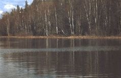 Иллюстрация к книге — Ох, охота! [i_080.jpg]