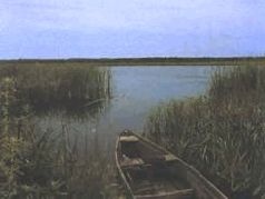 Иллюстрация к книге — Ох, охота! [i_081.jpg]