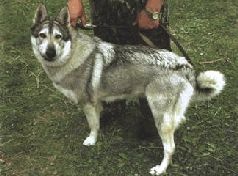 Иллюстрация к книге — Ох, охота! [i_089.jpg]