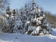 Иллюстрация к книге — Ох, охота! [i_122.jpg]