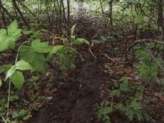 Иллюстрация к книге — Ох, охота! [i_126.jpg]