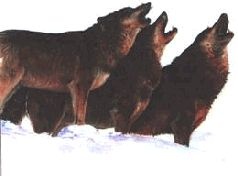 Иллюстрация к книге — Ох, охота! [i_133.jpg]