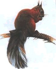 Иллюстрация к книге — Ох, охота! [i_146.jpg]