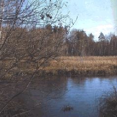 Иллюстрация к книге — Ох, охота! [i_153.jpg]