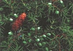 Иллюстрация к книге — Ох, охота! [i_158.jpg]