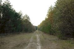 Иллюстрация к книге — Ох, охота! [i_172.jpg]