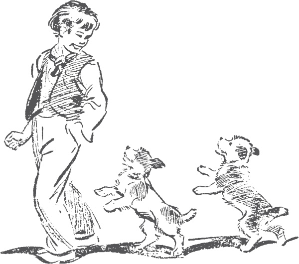 Иллюстрация к книге — По следам бродячего цирка [i_002.jpg]