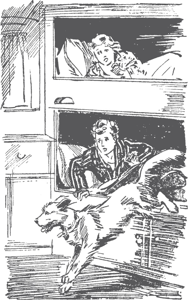 Иллюстрация к книге — По следам бродячего цирка [i_006.jpg]