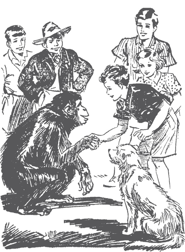 Иллюстрация к книге — По следам бродячего цирка [i_008.jpg]