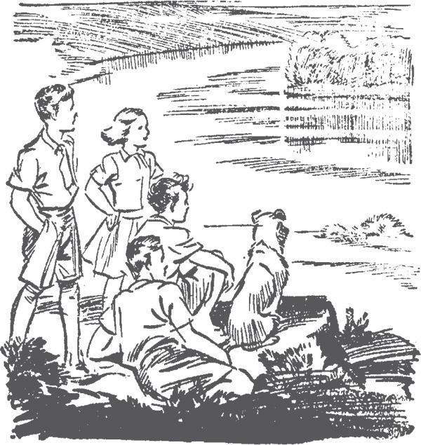 Иллюстрация к книге — По следам бродячего цирка [i_011.jpg]