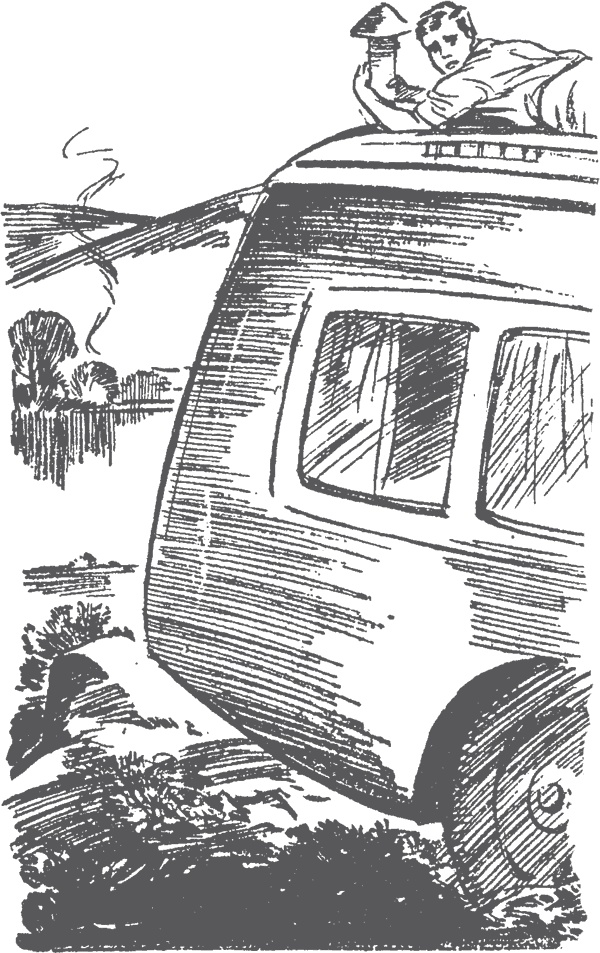 Иллюстрация к книге — По следам бродячего цирка [i_017.jpg]