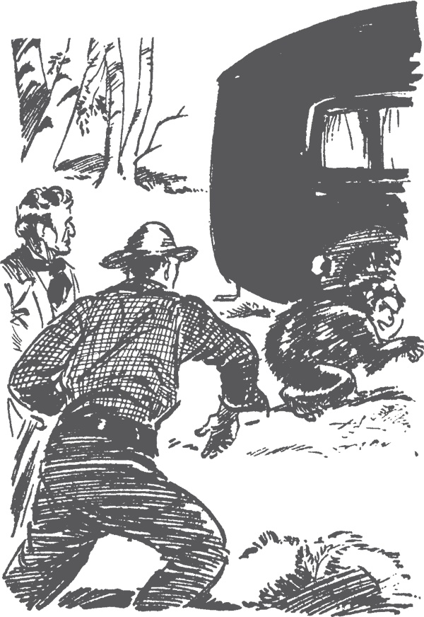 Иллюстрация к книге — По следам бродячего цирка [i_023.jpg]