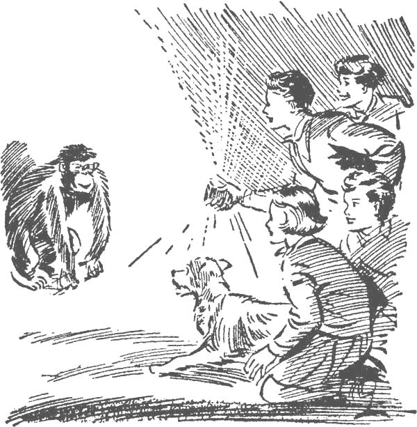 Иллюстрация к книге — По следам бродячего цирка [i_025.jpg]