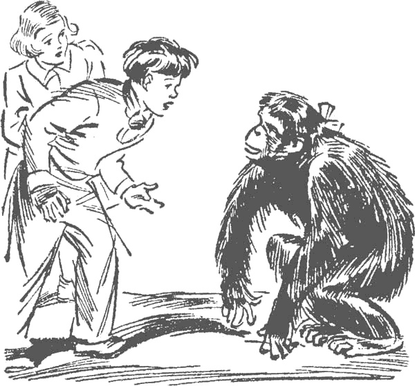 Иллюстрация к книге — По следам бродячего цирка [i_026.jpg]