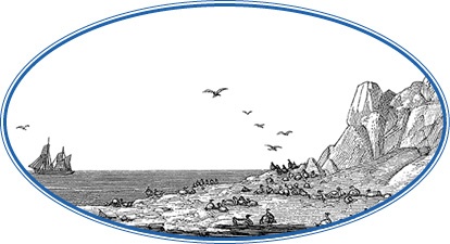 Иллюстрация к книге — Моя жизнь. Южный полюс [i_034.jpg]