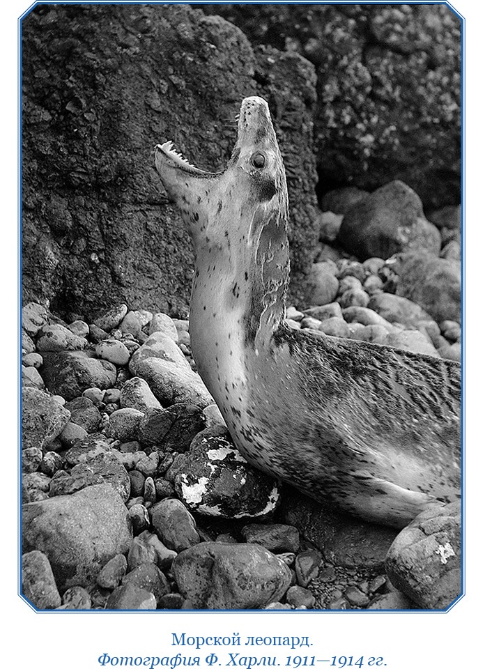 Иллюстрация к книге — Моя жизнь. Южный полюс [i_092.jpg]