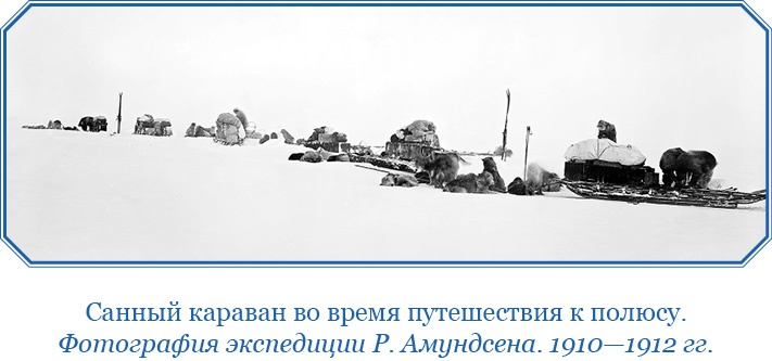 Иллюстрация к книге — Моя жизнь. Южный полюс [i_135.jpg]