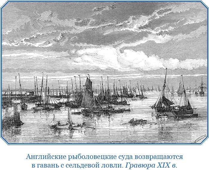 Иллюстрация к книге — Открытие Антарктиды [i_024.jpg]