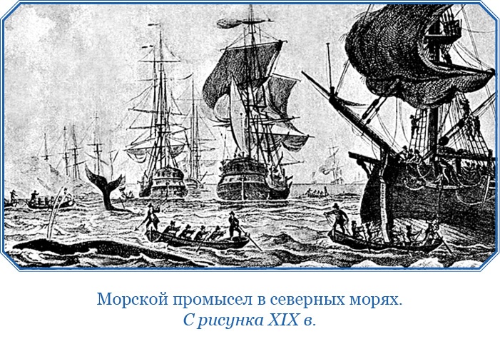 Иллюстрация к книге — Открытие Антарктиды [i_037.jpg]