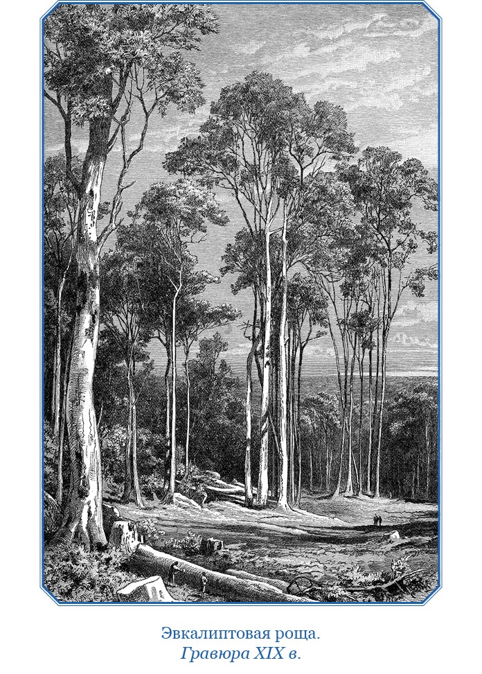 Иллюстрация к книге — Открытие Антарктиды [i_057.jpg]