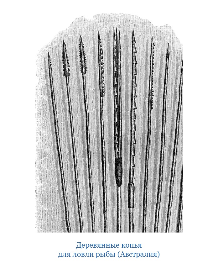 Иллюстрация к книге — Открытие Антарктиды [i_089.jpg]