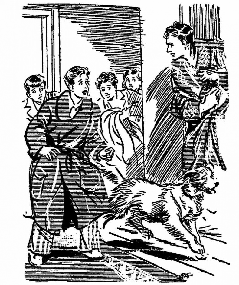 Иллюстрация к книге — Тайна Приюта контрабандистов [i_001.jpg]