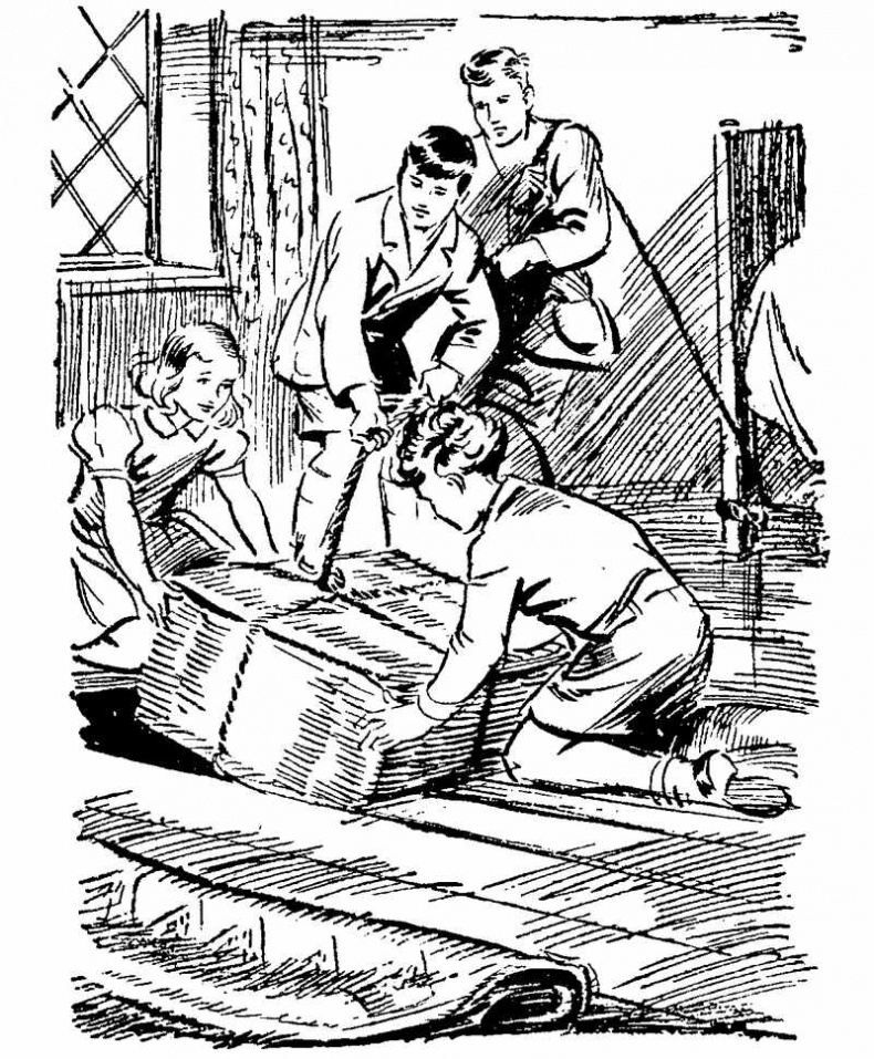 Иллюстрация к книге — Тайна Приюта контрабандистов [i_008.jpg]