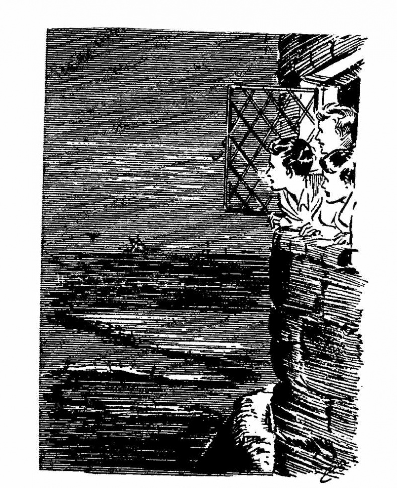 Иллюстрация к книге — Тайна Приюта контрабандистов [i_013.jpg]