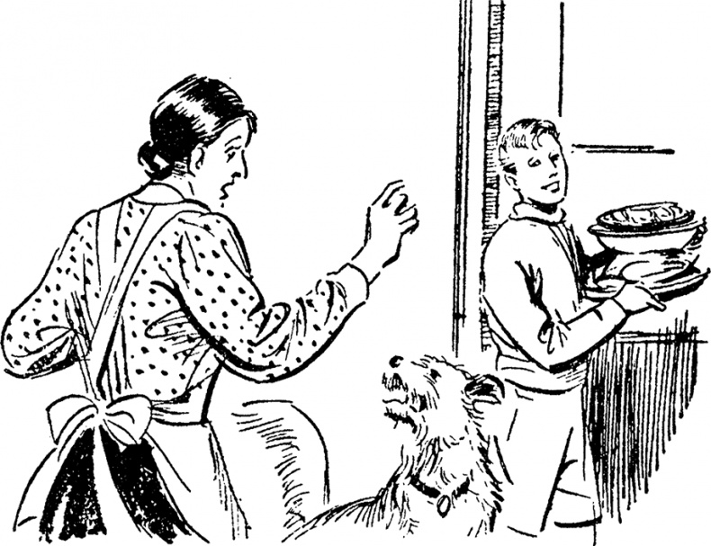 Иллюстрация к книге — Возвращение на остров сокровищ [i_009.jpg]