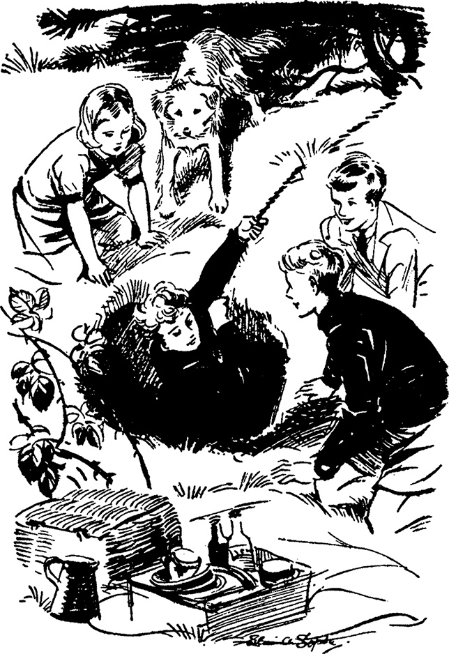 Иллюстрация к книге — Возвращение на остров сокровищ [i_016.jpg]