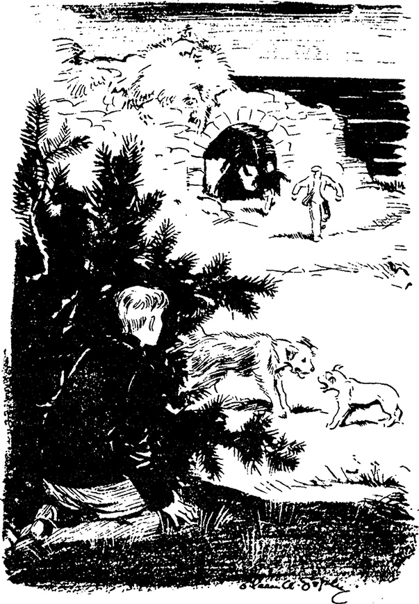 Иллюстрация к книге — Возвращение на остров сокровищ [i_020.jpg]