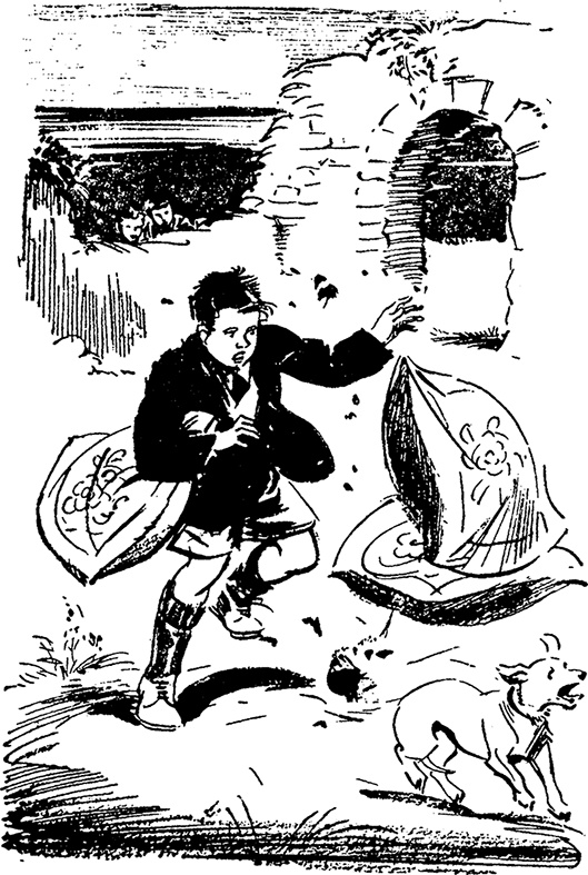 Иллюстрация к книге — Возвращение на остров сокровищ [i_023.jpg]