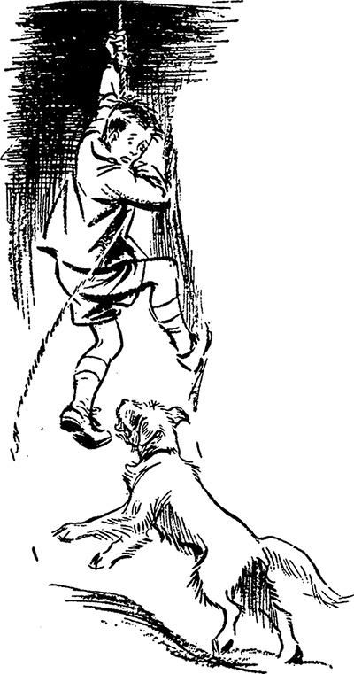 Иллюстрация к книге — Возвращение на остров сокровищ [i_028.jpg]