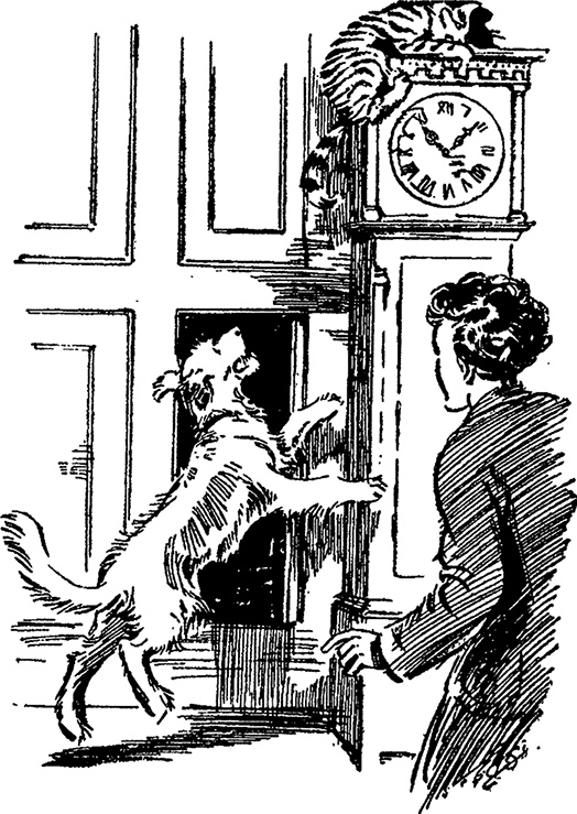 Иллюстрация к книге — Опасные каникулы [i_005.jpg]