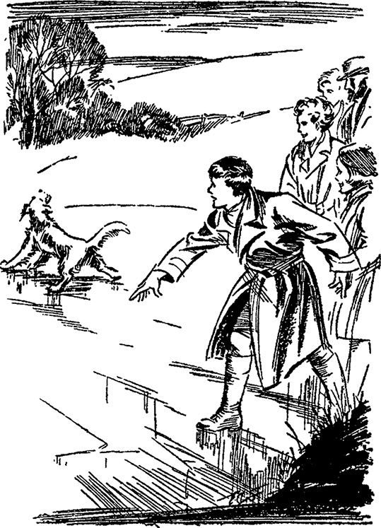 Иллюстрация к книге — Опасные каникулы [i_009.jpg]