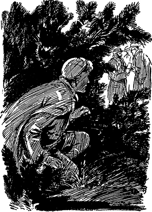 Иллюстрация к книге — Опасные каникулы [i_025.jpg]