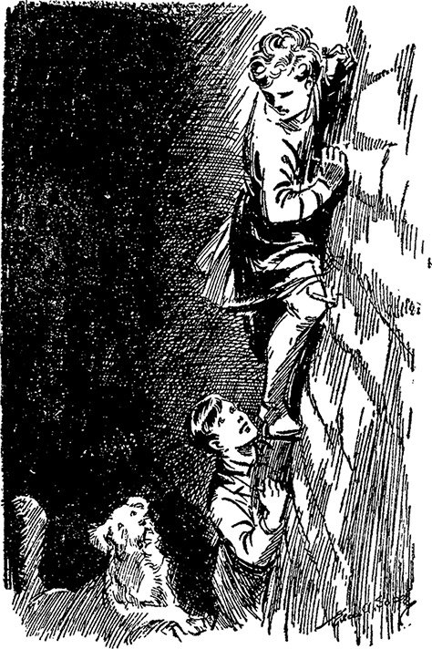 Иллюстрация к книге — Опасные каникулы [i_029.jpg]