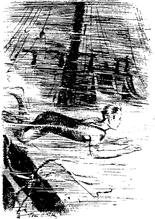 Иллюстрация к книге — На острове сокровищ [i_004.jpg]