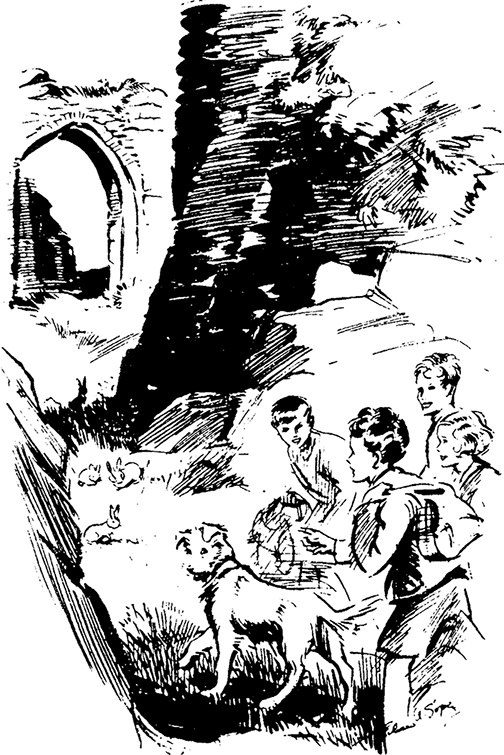 Иллюстрация к книге — На острове сокровищ [i_005.jpg]