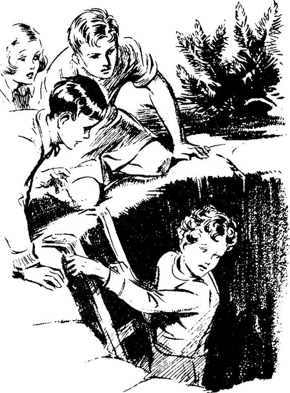 Иллюстрация к книге — На острове сокровищ [i_017.jpg]